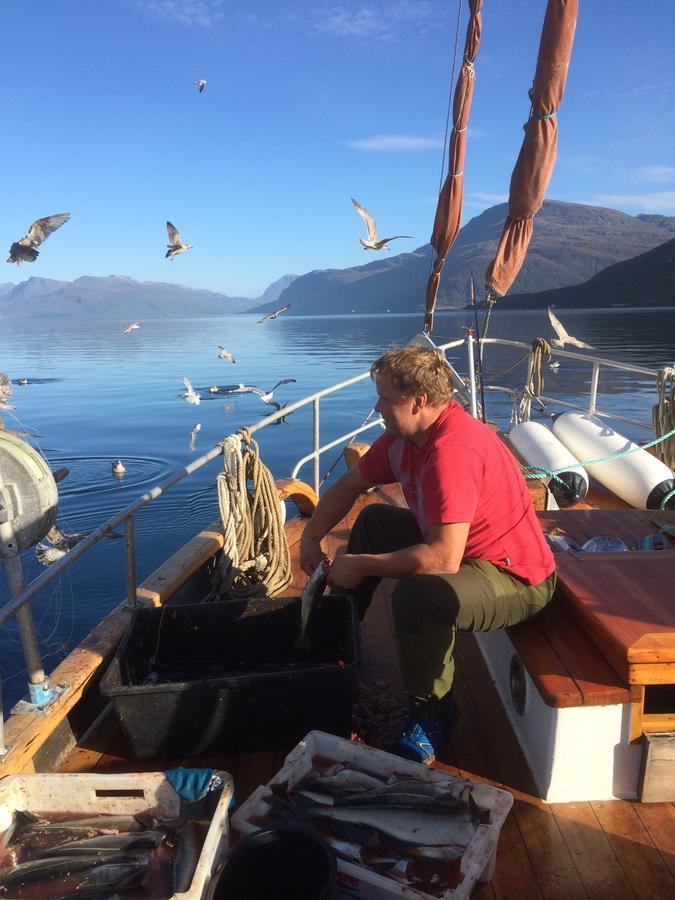 Готель Elvegard Fjordcamp Grov Екстер'єр фото