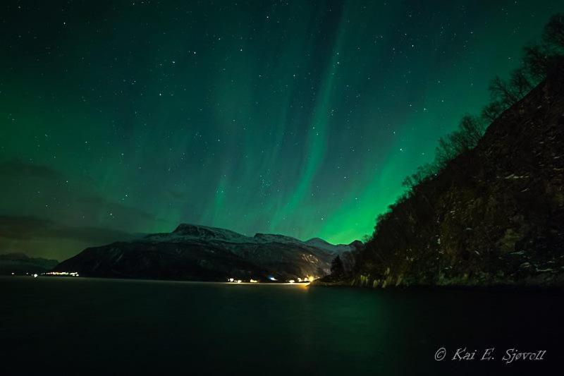 Готель Elvegard Fjordcamp Grov Екстер'єр фото